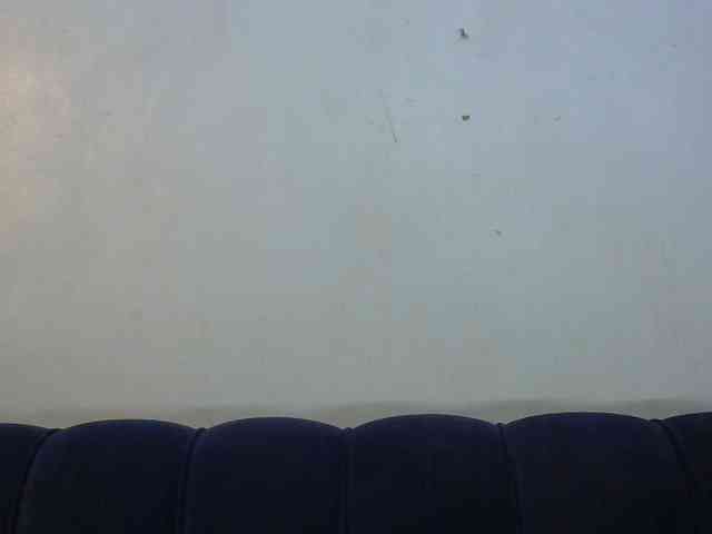 Trisha254 webcam