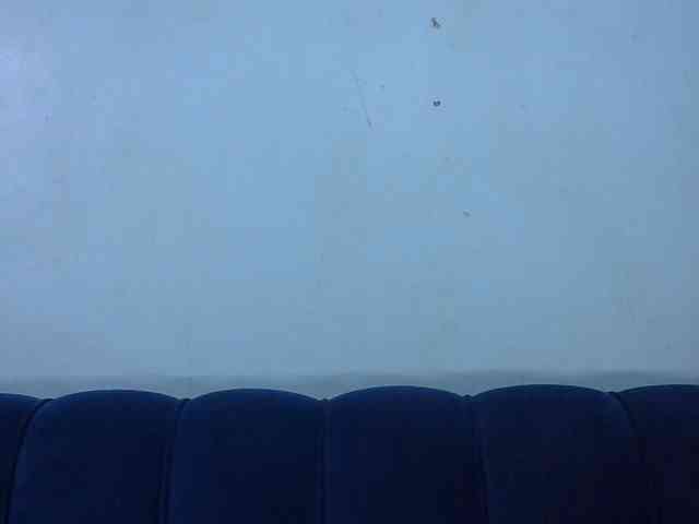 Trisha254 webcam