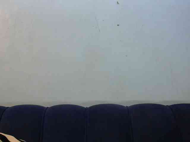 Trisha254 webcam