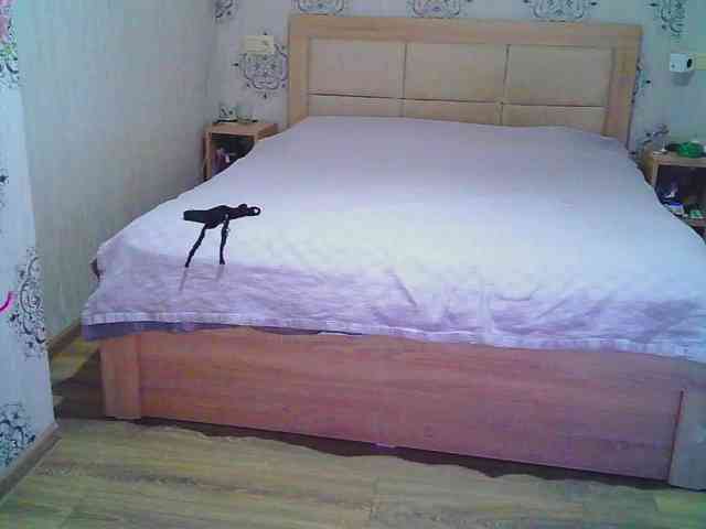 harris483 webcam