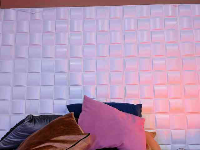 SalmaRose webcam
