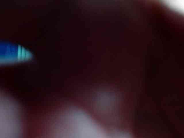 DonatelaHotCouple webcam