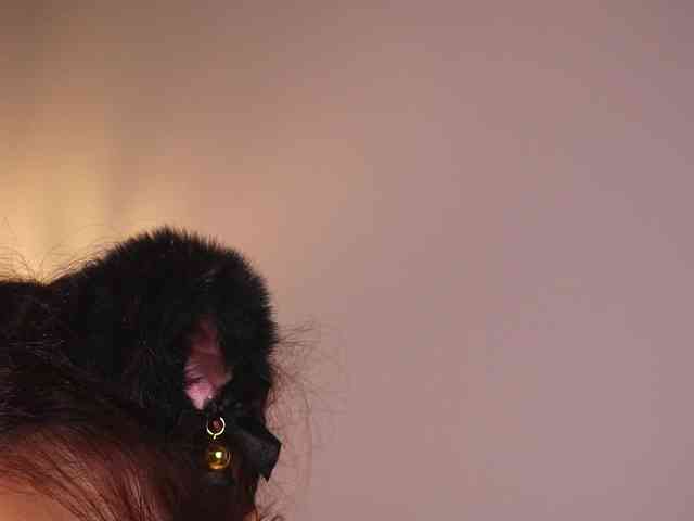 CuteKittya webcam