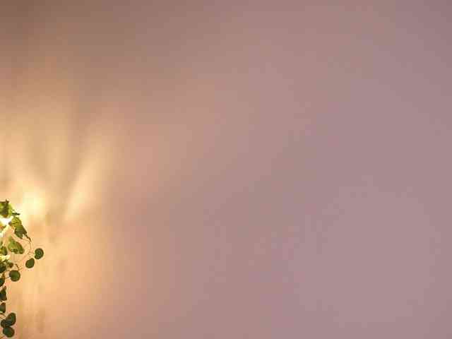 CuteKittya webcam