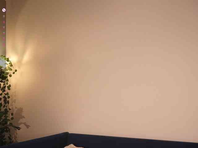 CuteKittya webcam