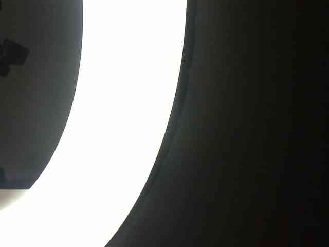 NaniGinger webcam