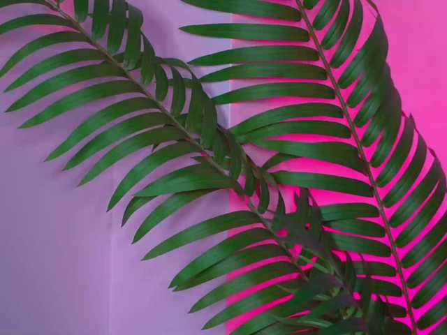 EssenaMonroe live cam on BongaCams