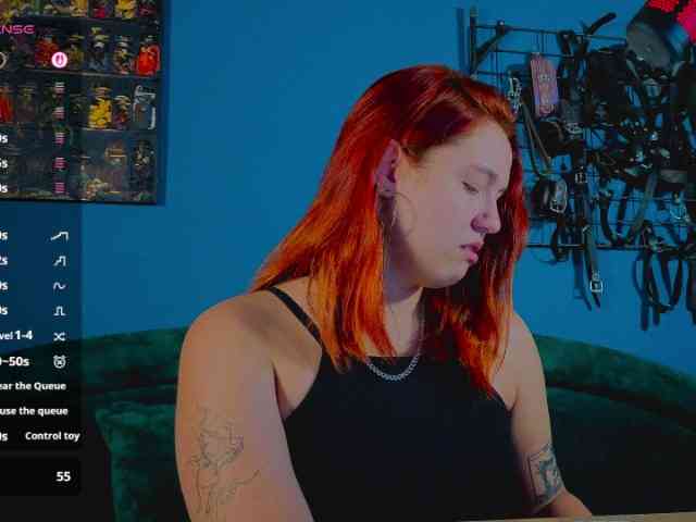 ServeToAlexa webcam