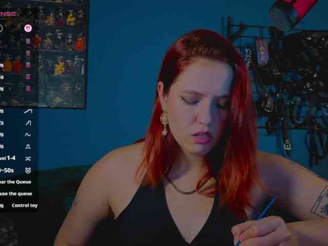 ServeToAlexa webcam