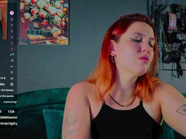 ServeToAlexa webcam
