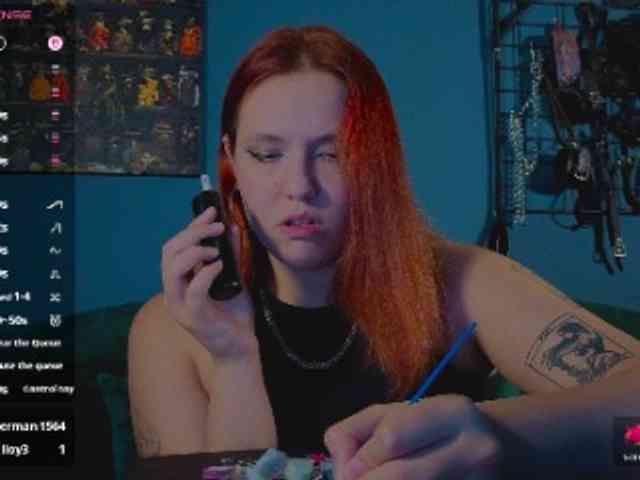 ServeToAlexa webcam
