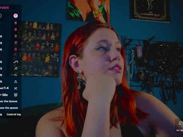 ServeToAlexa webcam