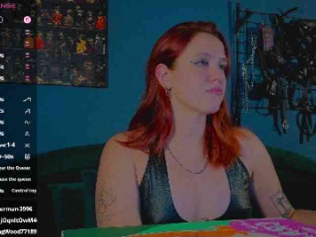 ServeToAlexa webcam