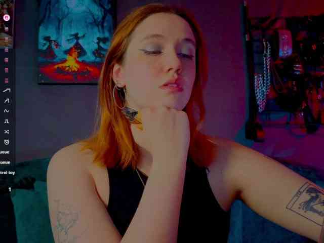 ServeToAlexa webcam