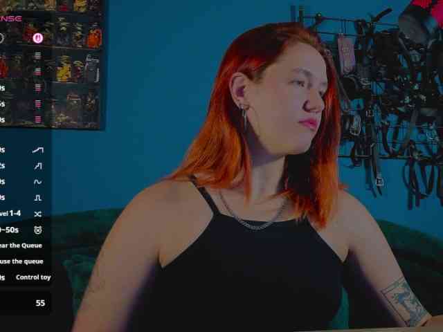 ServeToAlexa webcam