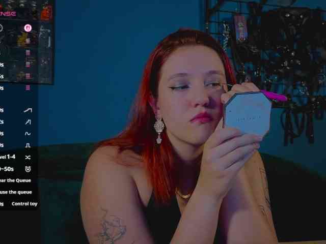 ServeToAlexa webcam
