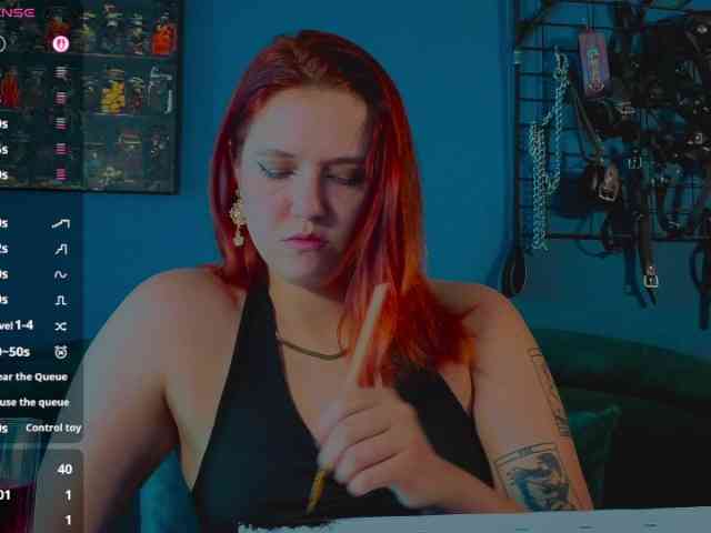 ServeToAlexa webcam