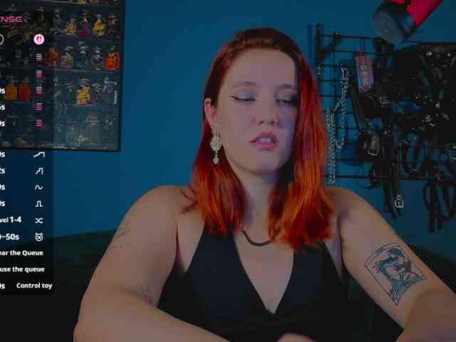 ServeToAlexa webcam