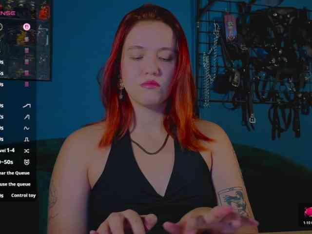 ServeToAlexa webcam