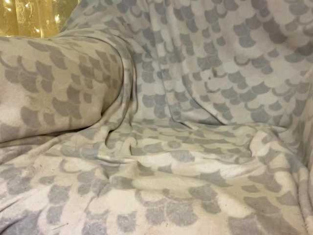 RosariaFrankland live cam on BongaCams