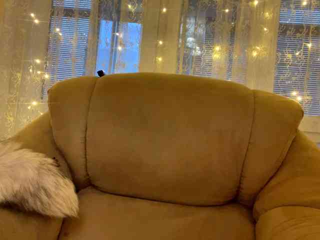 RosariaFrankland webcam