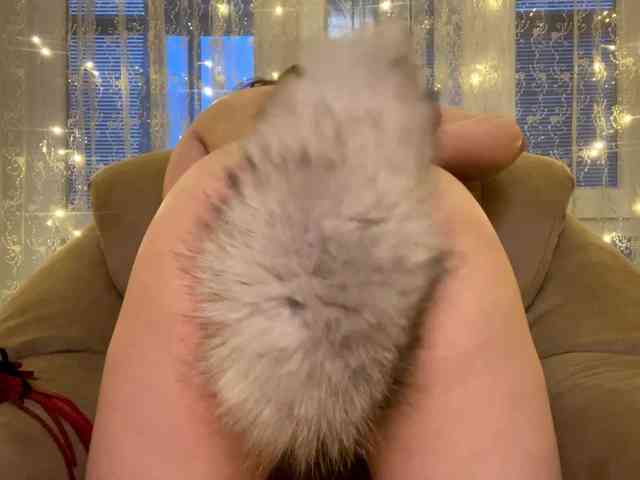 RosariaFrankland webcam