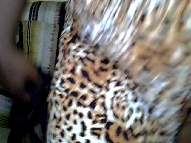 Nohemiaa webcam
