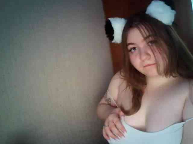 Meowmaw webcam