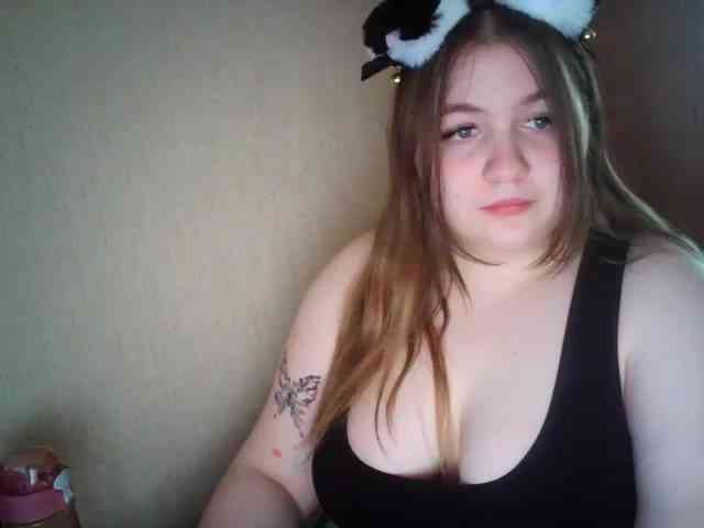 Meowmaw webcam