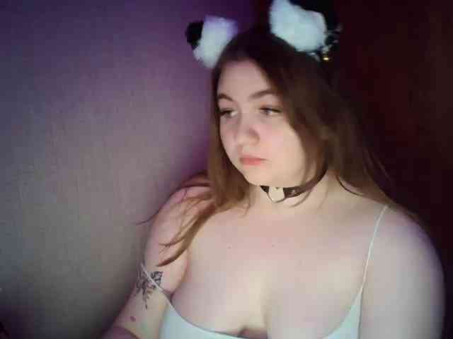 Meowmaw webcam