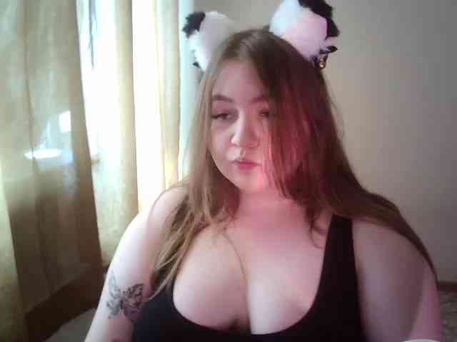 Meowmaw webcam