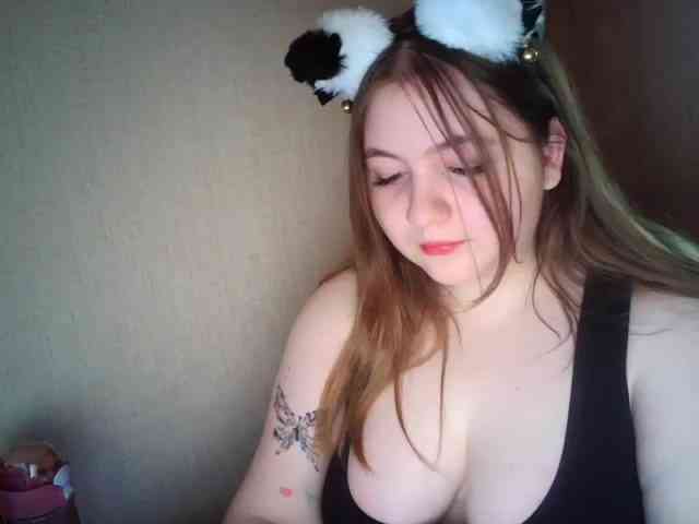 Meowmaw webcam