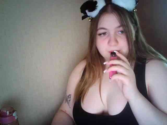 Meowmaw webcam
