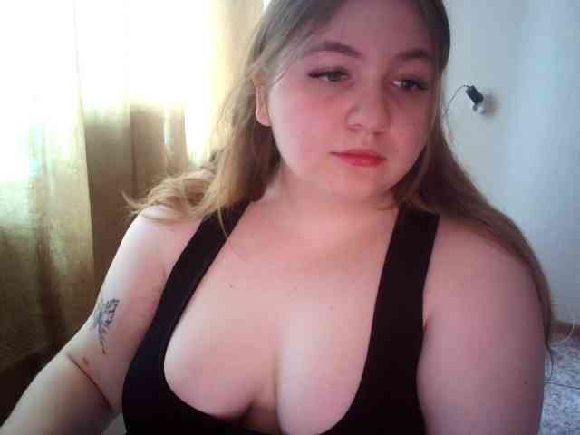 Meowmaw webcam