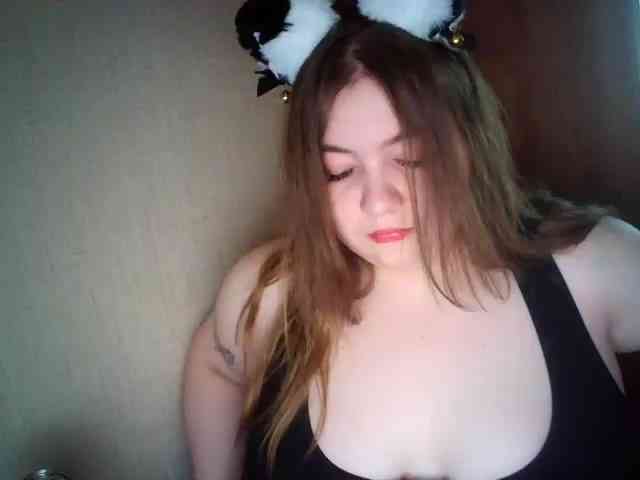 Meowmaw webcam