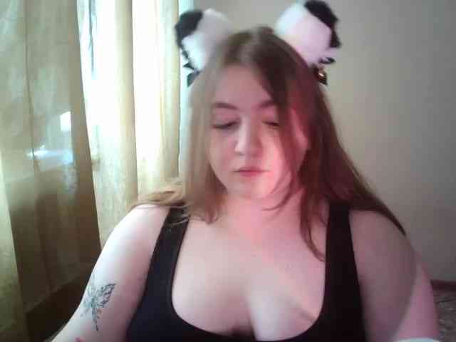 Meowmaw webcam