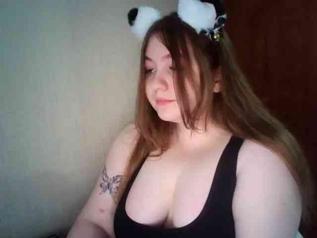 Meowmaw webcam