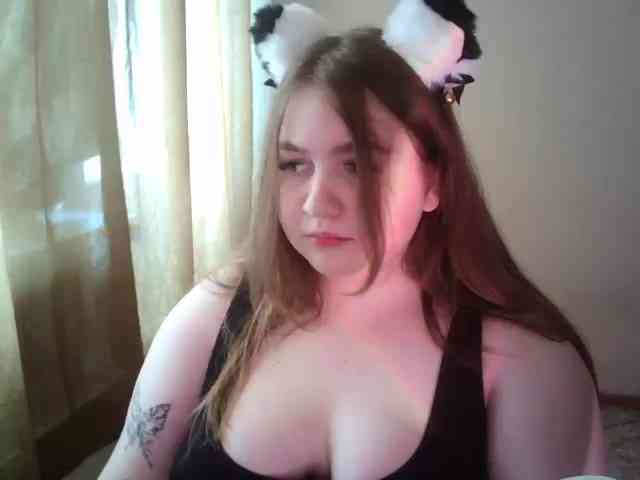 Meowmaw webcam