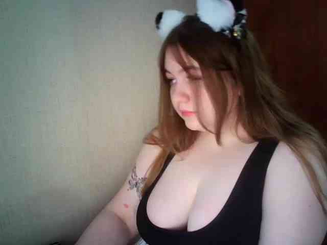 Meowmaw webcam