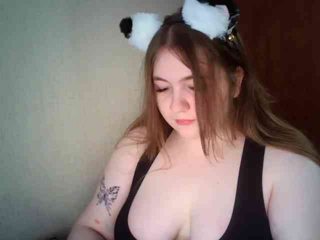 Meowmaw webcam