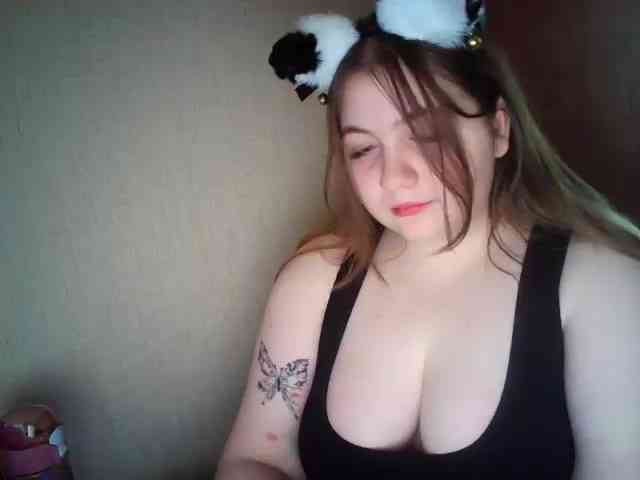 Meowmaw webcam