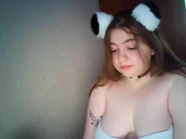 Meowmaw webcam