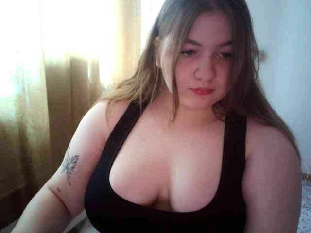 Meowmaw webcam