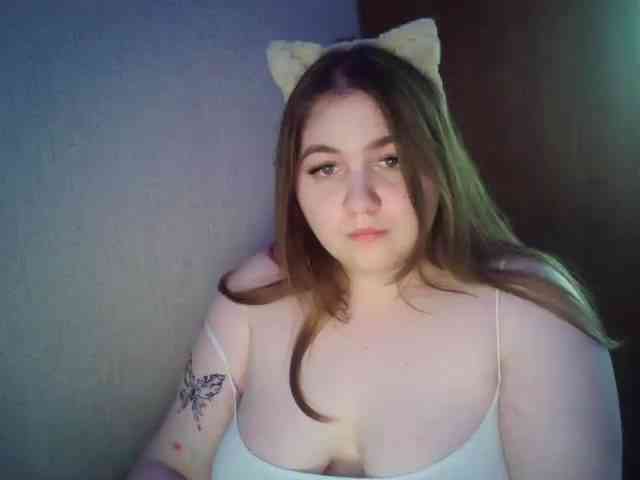 Meowmaw webcam