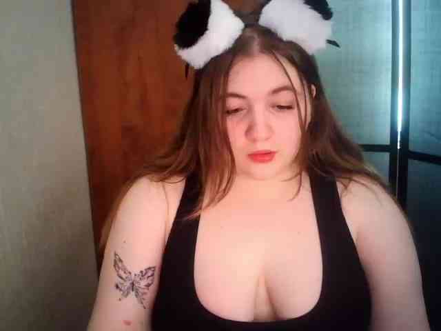 Meowmaw webcam