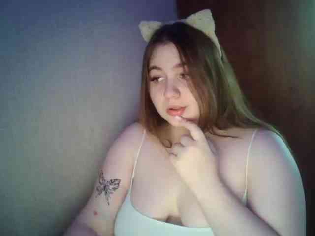 Meowmaw webcam