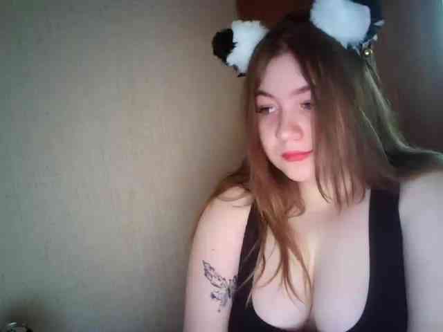Meowmaw webcam