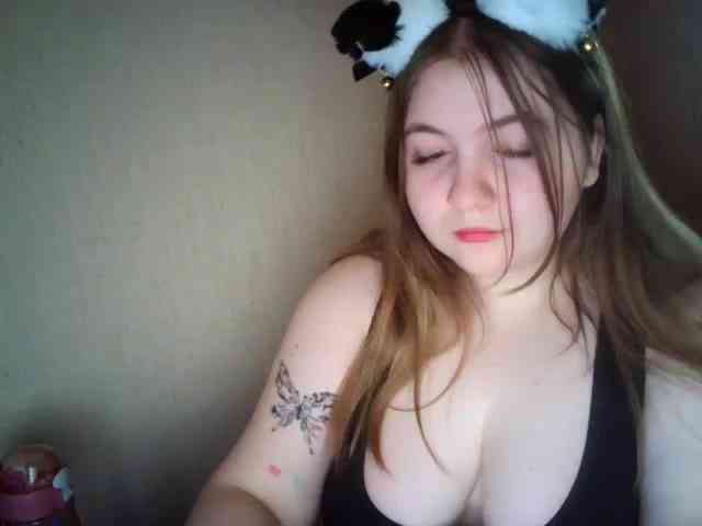 Meowmaw webcam