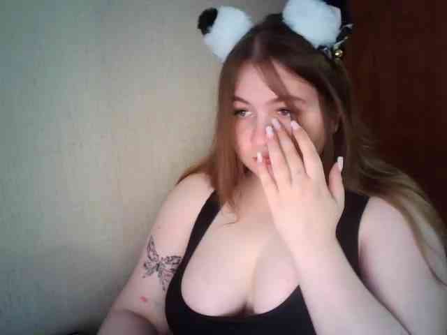 Meowmaw webcam