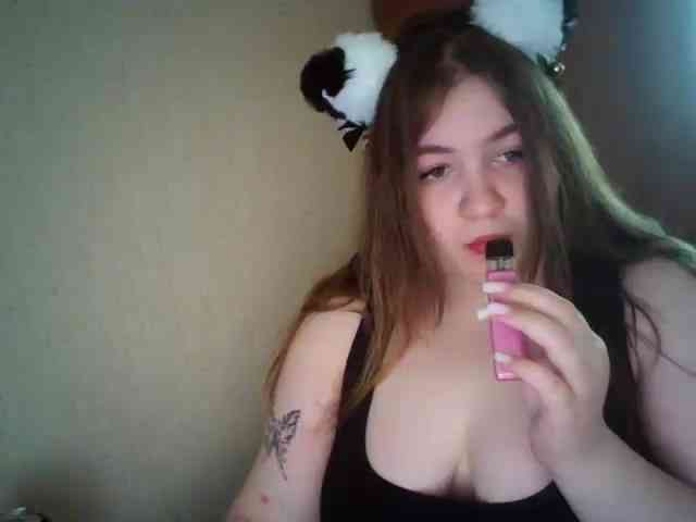 Meowmaw webcam